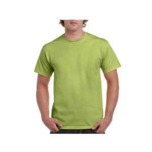 camiseta-gildan-ultra-2000-verde-pistacho