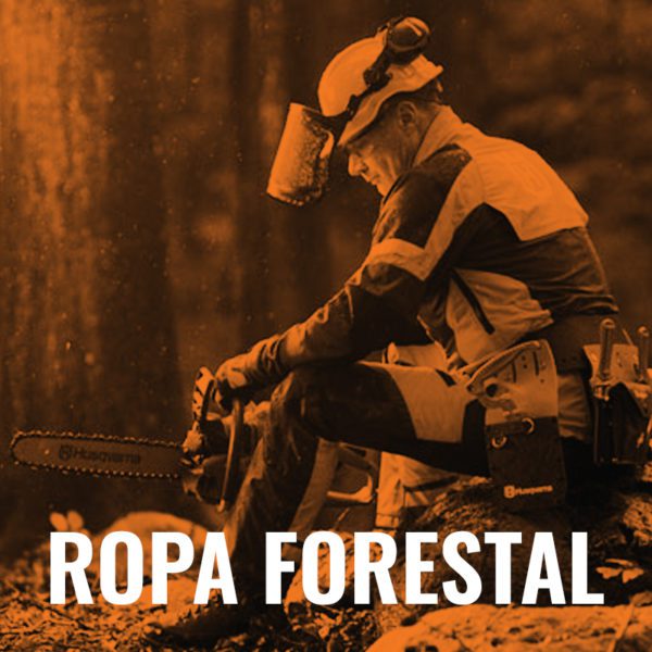 Ropa Forestal
